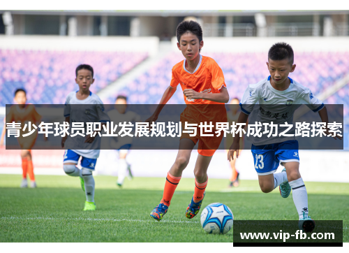 青少年球员职业发展规划与世界杯成功之路探索