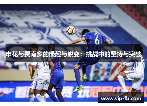 申花与费南多的缘起与蜕变：挑战中的坚持与突破