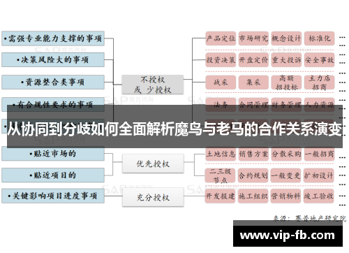 从协同到分歧如何全面解析魔鸟与老马的合作关系演变