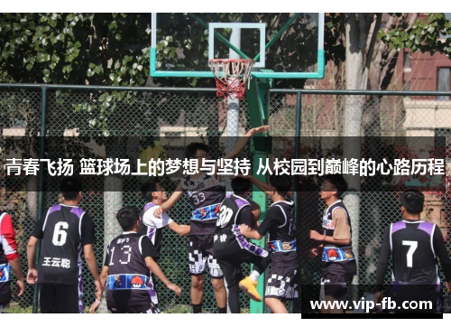 青春飞扬 篮球场上的梦想与坚持 从校园到巅峰的心路历程