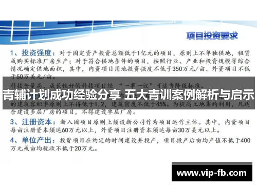 青辅计划成功经验分享 五大青训案例解析与启示